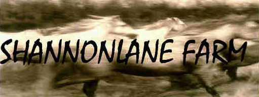 shannonlane.jpg